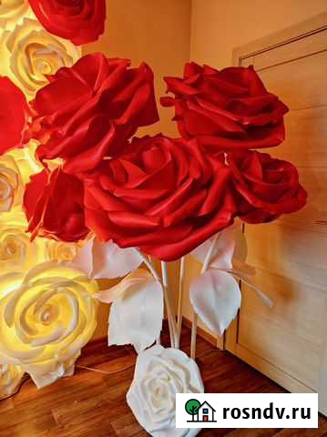 Аренда фотозоны Новосибирск - изображение 1