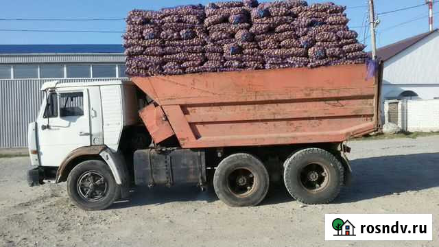 Камаз Самосвал перевозки жом Черкесск - изображение 1