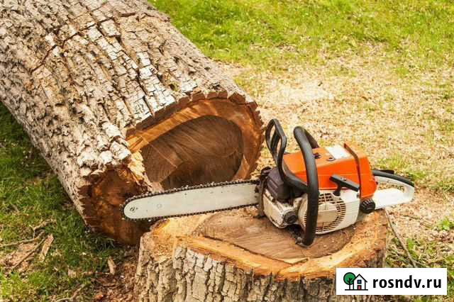 Спил деревьев Хомутово - изображение 1