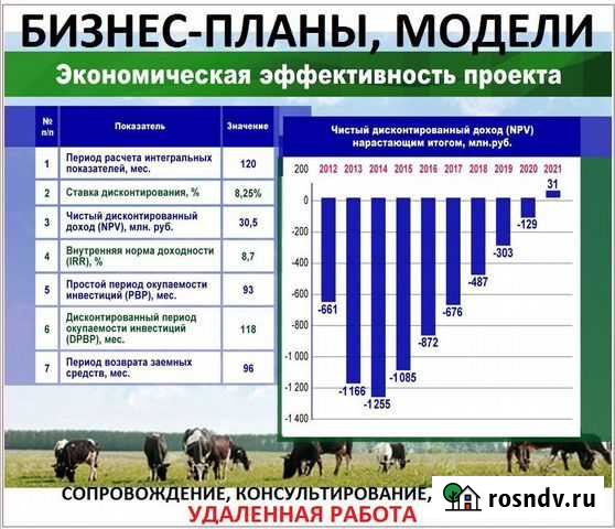 Бизнес-планы, финансово-экономический аутсорсинг Санкт-Петербург - изображение 1