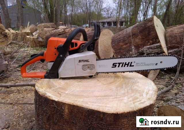 Спил деревьев Елабуга - изображение 1