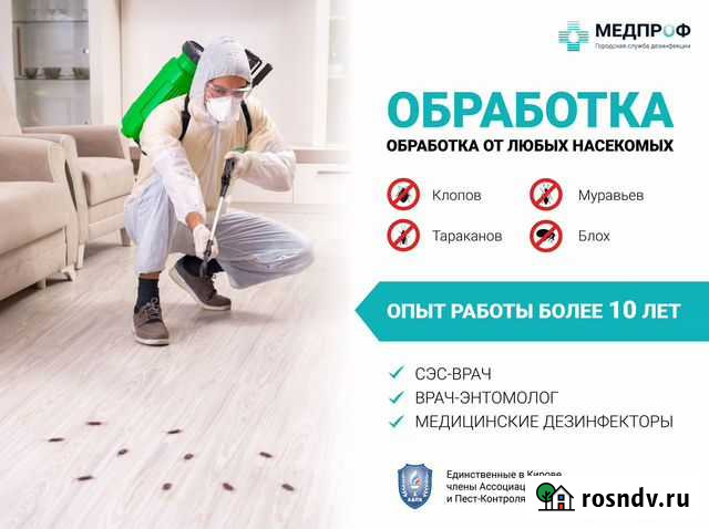 Уничтожение клопов, муравьев, тараканов Киров - изображение 1