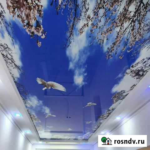 Потолок натяжной Семендер - изображение 1