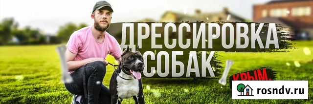 Кинолог.Дрессировка собак.Передержка Симферополь - изображение 1