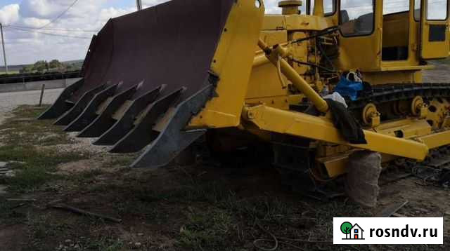 Расчистка(раскорчевка) участка от дкр Выгоничи - изображение 1