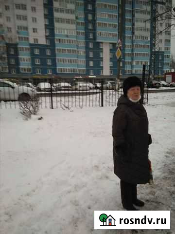 Няня Переславль-Залесский - изображение 1