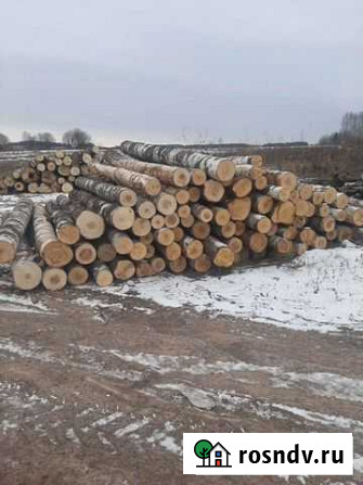 Фанкряж березовый Ижевск - изображение 1