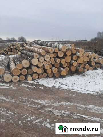 Фанкряж березовый Ижевск - изображение 1