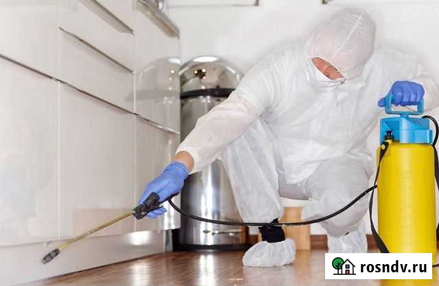 Уничтожение насекомых,плесени,запахов Саратов - изображение 1