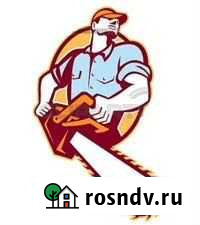 Лесобилет, лес на корню, пиломатериал Сыктывкар - изображение 1