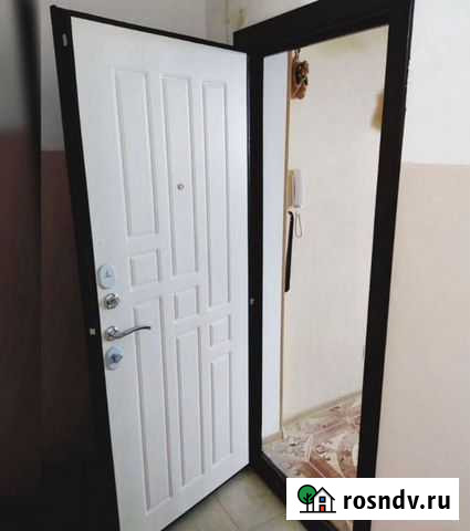 Входная дверь 8 мм Гарда Пенза - изображение 1