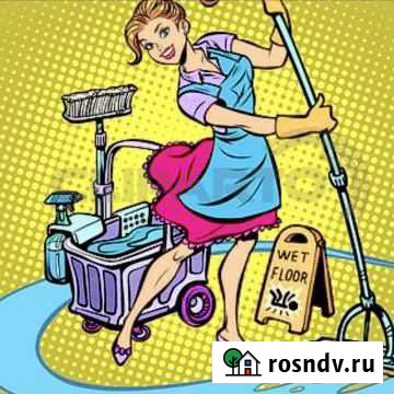 Уборка квартир,домов,офисов,в том числе после ремо Камышин - изображение 1