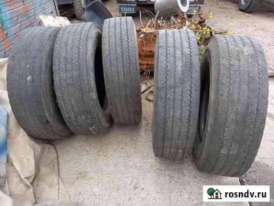 Шины 290 80 22.5 tyrex ALL steel Горбунки