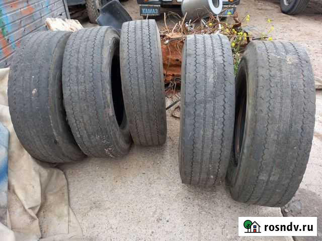 Шины 290 80 22.5 tyrex ALL steel Горбунки - изображение 1