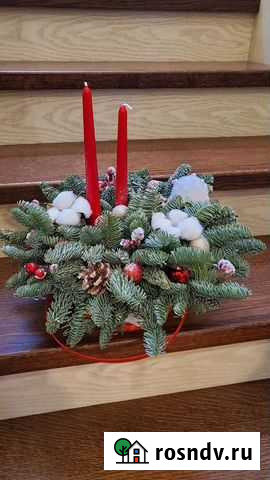 Новогодняя композиция из нобилиса Агалатово - изображение 1