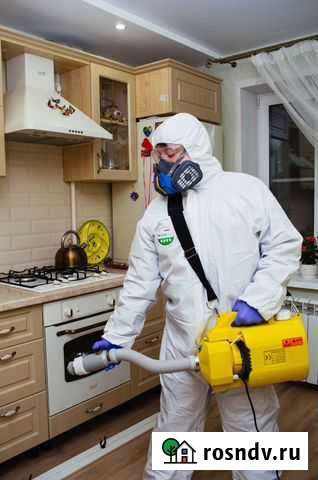 Уничтожение насекомых плесени грибка мышей Балаково - изображение 1