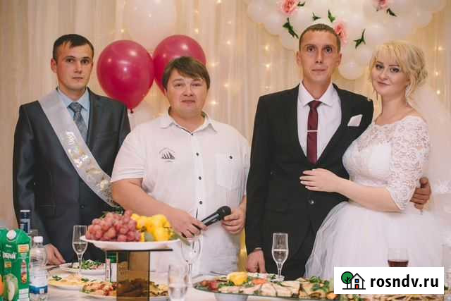 Тамада, диджей на свадьбу, юбилей Нижний Новгород - изображение 1