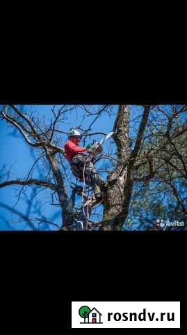 Спил деревьев Новомосковск - изображение 1