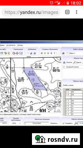 Обработка лесных данных, отвод лесосек, таксация Пермь - изображение 1