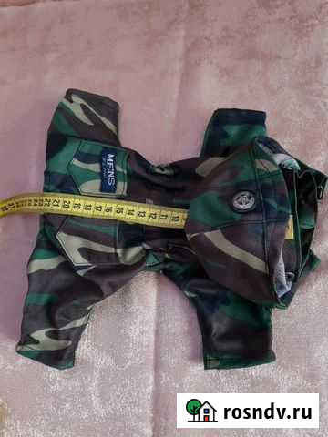 Комбинезон для собак Златоуст - изображение 1