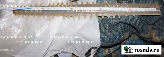 Нос рыбы пилы Севастополь - изображение 1