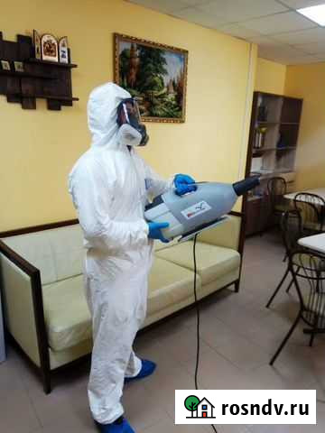 Уничтожение клопов, вывести тараканов Волгоград - изображение 1