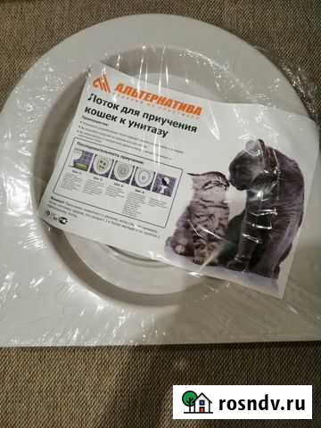 Лоток для кошек Минусинск - изображение 1