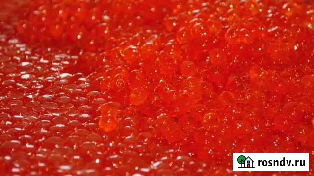 Красная икра кета Власиха - изображение 1