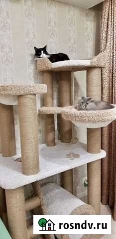Игровой комплекс-когтеточка для кошек Саранск - изображение 1