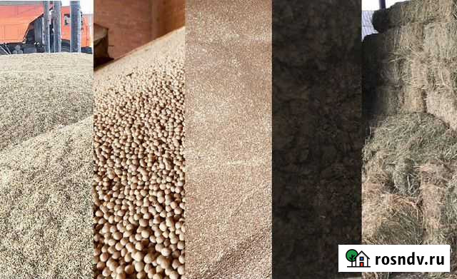 Ячмень, Кукуруза, Тритикале, Пшеница,Макуха, Сено Каневская - изображение 1