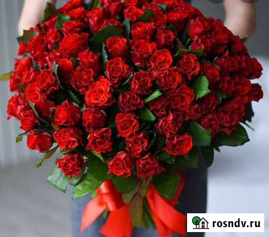 Роза Алая Тверь - изображение 1