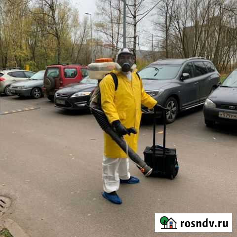 Дезинфекция Санкт-Петербург - изображение 1