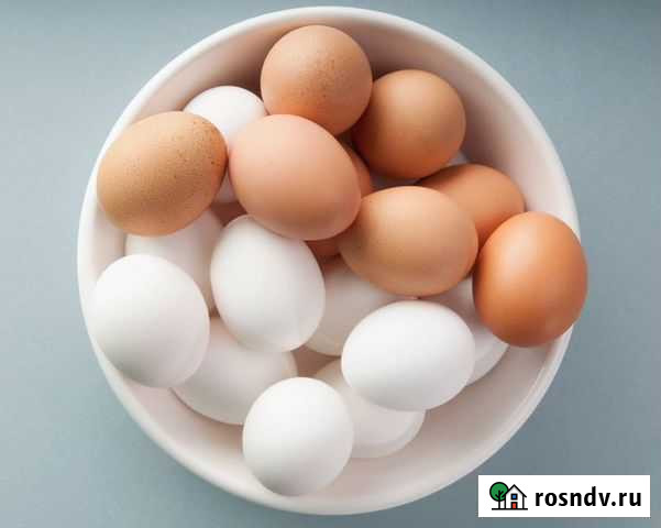 Домашние куриные яйца Щёлково - изображение 1