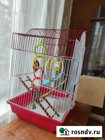 Клетка для попугая Хотьково - изображение 1