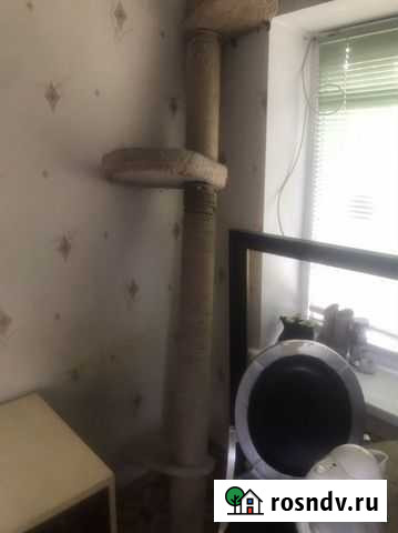 Когтеточка большая Новоивановское - изображение 1