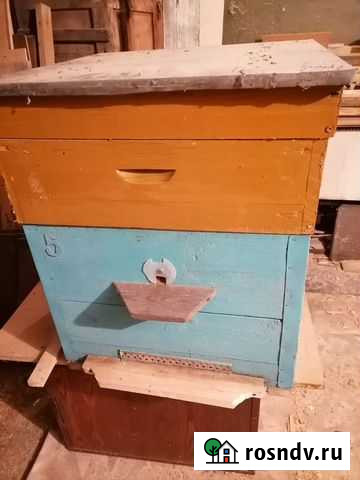 Ульи Дадан. Рой пчел. Семьи пчел. Корпуса Рута Серпухов - изображение 1