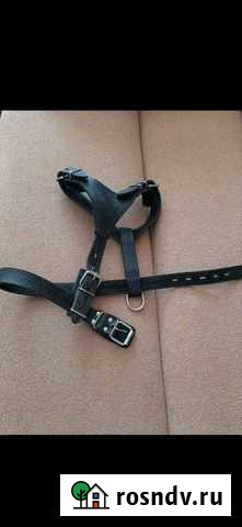 Шлейка Красногорск - изображение 1