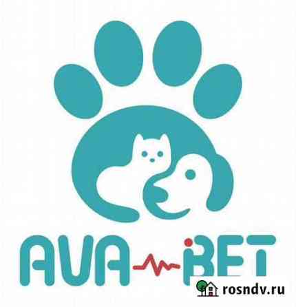 Ветеринарный врач на дом 24/7 Курск
