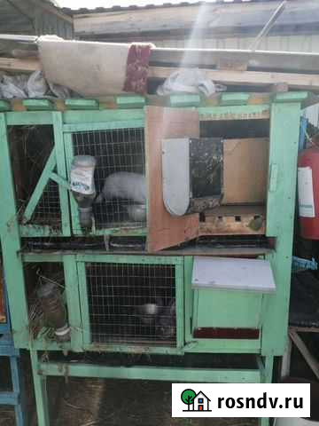 Клетка для кролика двух этажная Стерлитамак - изображение 1