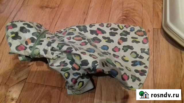 Одежда для модной собачки Энгельс - изображение 1