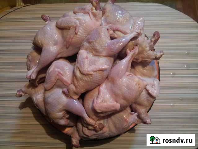 Мясо перепелов Азов - изображение 1