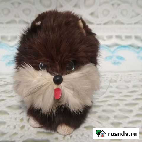 Сувенир в машину Кот Котик СССР голова на пружине Малое Верево - изображение 1