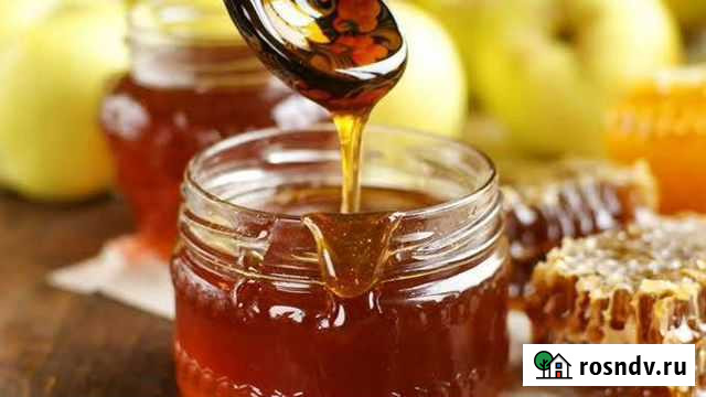 Мед, свежий, разнотравие Майма - изображение 1