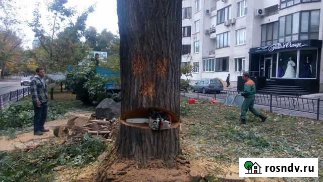 Спил деревьев Наро-Фоминск - изображение 1