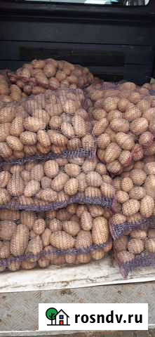 Продам картофель с доставкой Козьмодемьянск - изображение 1