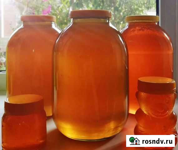 Мед с личной пасеки. Доставка по городу Юрга - изображение 1