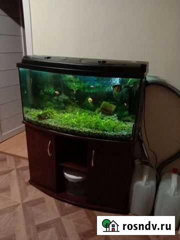 Аквариум с тумбой Калининград - изображение 1