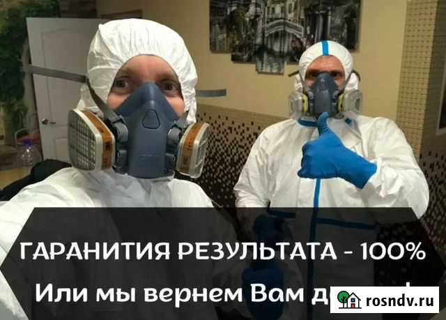 Дезинфекция Уничтожение клопов тараканов блох Бийск - изображение 1