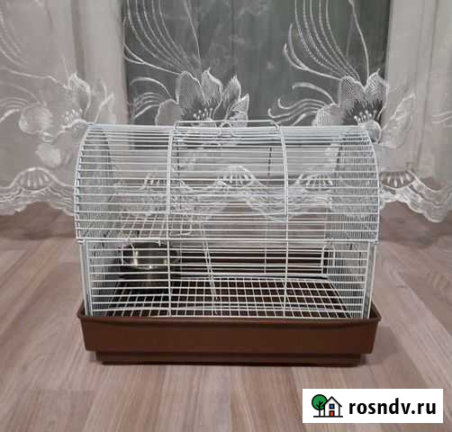 Клетка Красный Сулин - изображение 1