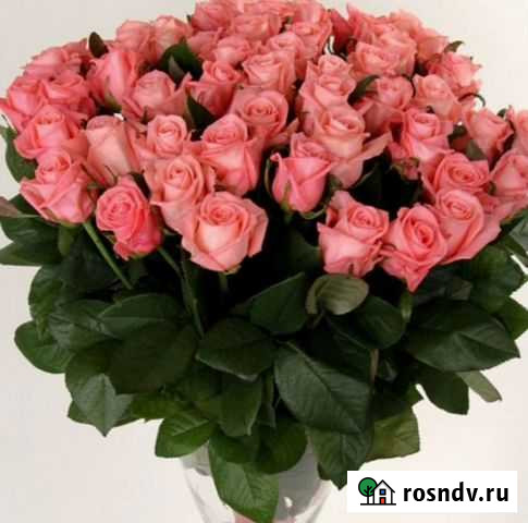 Розы 101 роза 51 роза с доставкой Ростов-на-Дону - изображение 1